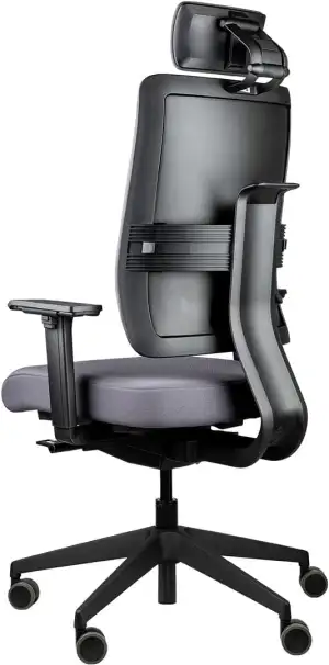 Toleo, ergonomischer Bürostuhl, bis zu 150kg belastbar, 3D-Sitztechnik (Polster mit Nackenstütze | Anthrazit | Vollausstattung)