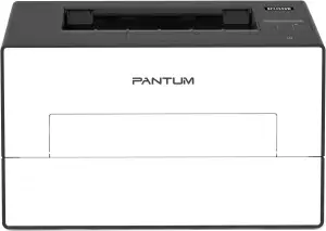 PANTUM BP4209DW Laserdrucker Schwarz Weiss mit Automatischer Duplexdruck, Drucke