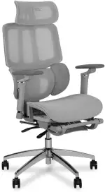 MUSSO H80 Pro Ergonomischer Bürostuhl, Mesh Schreibtischstuhl Mit 3-Zonen Dynamischer Lendenwirbelstütze 4D Verstellbare Armlehne 5-stufig Verstellbare Rückenlehne Bürostuhl Fußablage