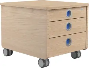 moll Pro Rollcontainer | abschließbare Schubladen mit Selbsteinzug | mobile Stau