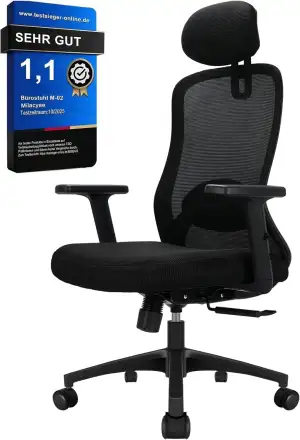 Bürostuhl, Ergonomischer Bürostuhl mit Verstellbarer 4D Lendenwirbelstütze, Schr