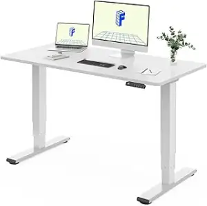 FLEXISPOT Höhenverstellbarer Schreibtisch elektrisch 120×80 cm mit Dualmotor & 3