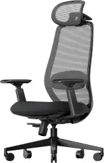 ProtoArc EC200 Bürostuhl Ergonomisch, Schreibtischstuhl mit Höhen- und Tiefenverstellbarer Lendenwirbelstütze, Sitztiefe, Höhenverstellbar, 3D-Kopfstütze, Computerstuhl für Home Office Chair, Schwarz
