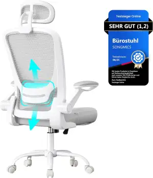 SONGMICS Bürostuhl ergonomisch, Drehstuhl mit Mesh, Lenden- und Kopfstütze, Wipp