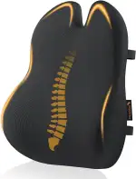 ProtoArc Ergonomisches RückenKissen aus Memory Foam, Lendenkissen für Bürostuhl Autositz und Schreibtischstuhl, Lendenwirbelkissen Atmungsaktiv, Rückenstütze mit Verstellbare Doppelriemen, Schwarz