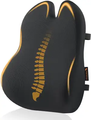 ProtoArc Ergonomisches RückenKissen aus Memory Foam, Lendenkissen für Bürostuhl 