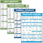 Palace Learning Kabelmaschinen-Workout-Poster, Band 1 & 2 + Hantelübungen + Dehnübungen (laminiert, 45,7 x 61 cm), 4 Stück