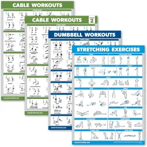 Palace Learning Kabelmaschinen-Workout-Poster, Band 1 & 2 + Hantelübungen + Dehn